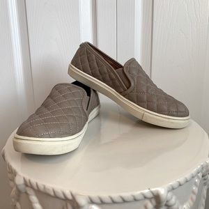 STEVE MADDEN Slip On Ecentrcq Sneakers Size 7.5